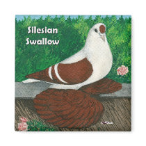Swallow Pigeon: Silesian magnets by diane_jacky Swallow Pigeon: Silesian magnets
