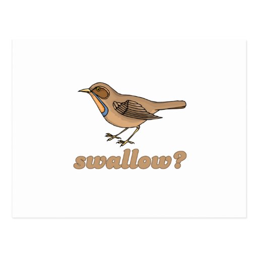 Swallow Post Cards