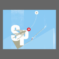 Swallow print