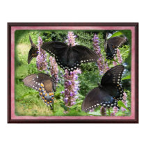 Swallow Tail Collage 2 ~ print