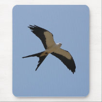 Swallow Tail Kite mousepads