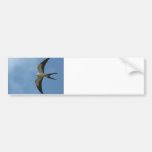 Swallow-tailed Kite Bumper Stickers
