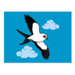 Swallow-tailed Kite in flight Post Cards