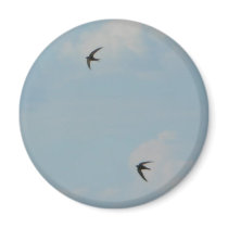 Swallows Birds Magnet