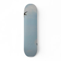 Swallows Birds Skateboards