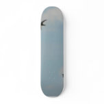 Swallows Birds Skateboards