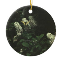 Swallowtail 01 ornament