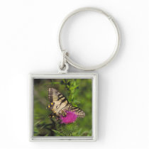 Swallowtail Butterfly and Bee on a Flower. Key Chains