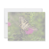 Swallowtail Butterfly & Bee on thistle Custom Invitation