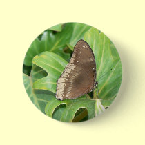 Swallowtail butterfly buttons
