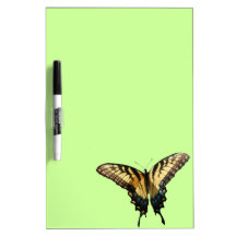 Swallowtail Butterfly Dry Erase Board