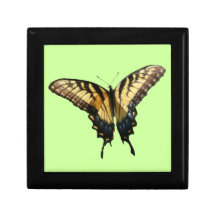 Swallowtail Butterfly Gift Box