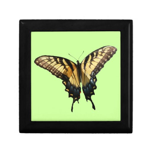 Swallowtail Butterfly Gift Box