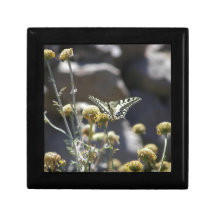 Swallowtail butterfly gift boxes