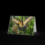 Swallowtail Butterfly III Card