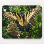 Swallowtail Butterfly III Mousepad