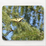 Swallowtail Butterfly in a Pine Tree mousepads