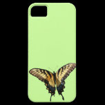 Swallowtail Butterfly Iphone 5 Case-mate Case