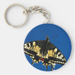 Swallowtail, butterfly key chain