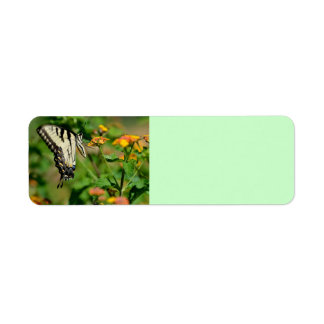 butterfly labels templates