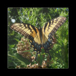 Swallowtail Butterfly Magnet