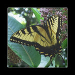 Swallowtail Butterfly Magnet