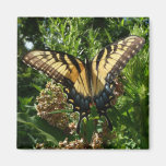 Swallowtail Butterfly Magnet