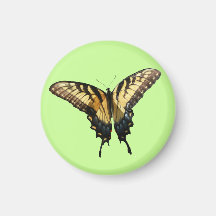 Swallowtail Butterfly Magnet