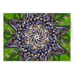 Swallowtail butterfly mandala - Card
