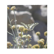 Swallowtail butterfly memo note pads