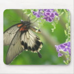 Swallowtail Butterfly Mouse Pad