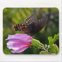 Swallowtail Butterfly mousepads