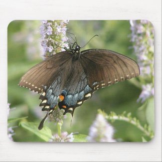 Swallowtail butterfly mousepad mousepad
