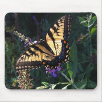 Swallowtail Butterfly Mousepad mousepads