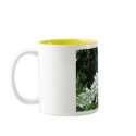 Swallowtail Butterfly mugs