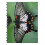 Swallowtail Butterfly Notebook