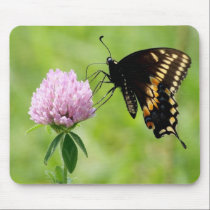 Swallowtail Butterfly on Clover Mousepad mousepads