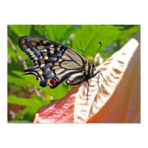 Swallowtail butterfly on flower print