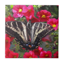 Swallowtail Butterfly on Flowers Tiles
