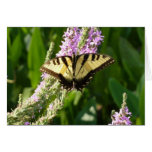 Swallowtail Butterfly on Purple Flowers Card