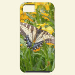 Swallowtail Butterfly  on Siberian Wallflowers casemate cases