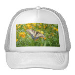 Swallowtail Butterfly  on Siberian Wallflowers Trucker Hats