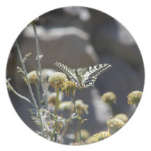 Swallowtail butterfly party plates