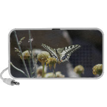 Swallowtail butterfly portable speaker