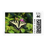 Swallowtail butterfly postage stamps