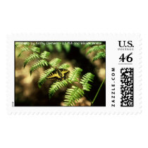 Swallowtail Butterfly Stamps