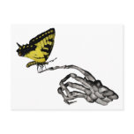 Swallowtail butterfly postcards