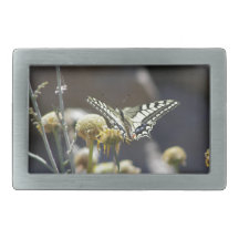 Swallowtail butterfly rectangular belt buckles