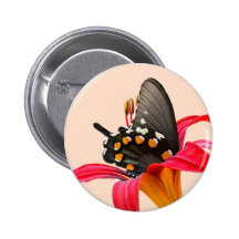 Swallowtail Butterfly, Red Lily Gifts and Cards Buttons