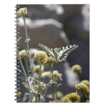 Swallowtail butterfly spiral note book